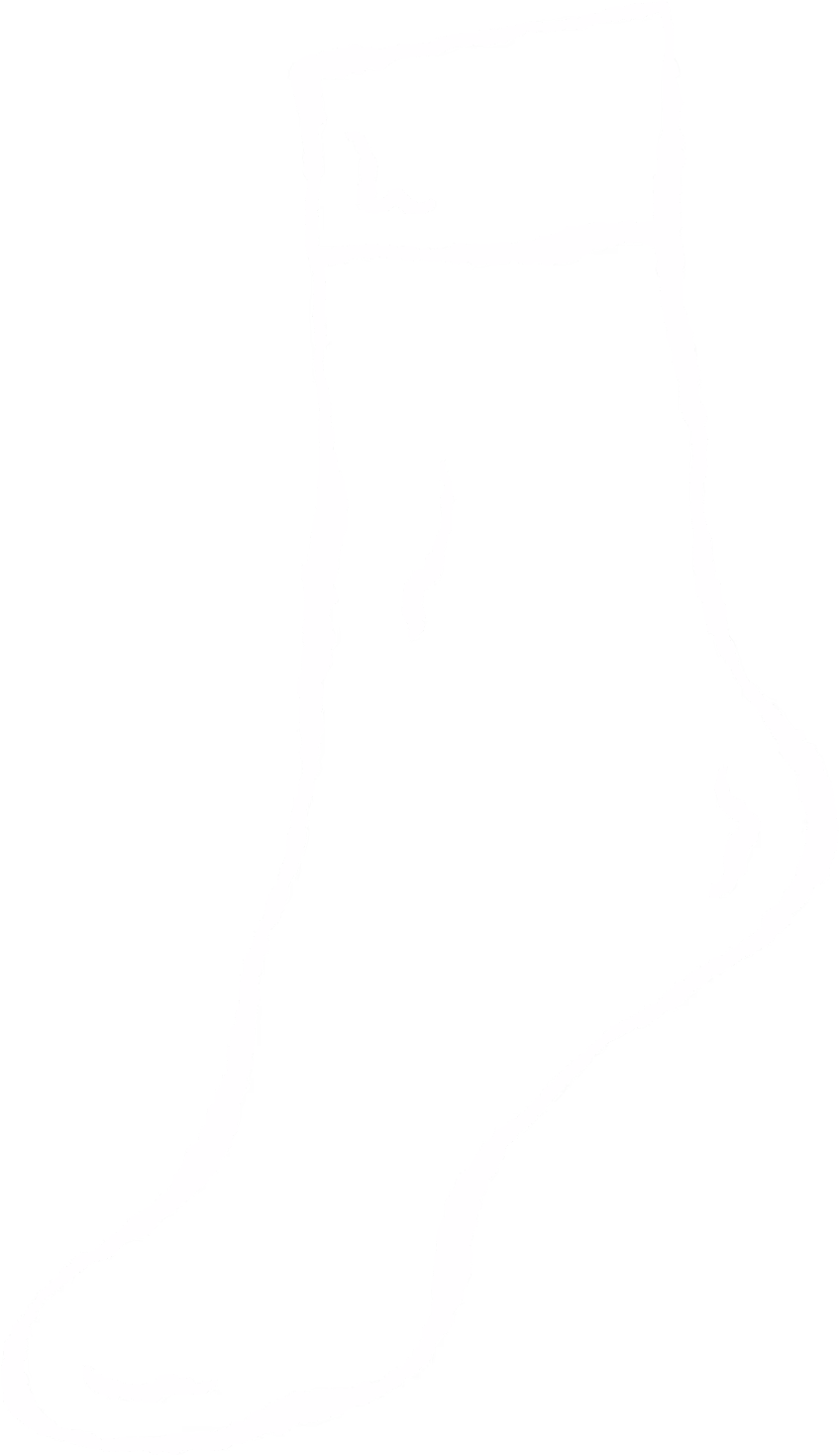 legs guide